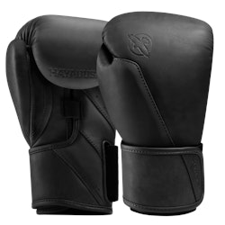 Hayabusa T360 Leather Boxing Gloves